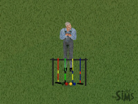 croquet game.jpg (42976 bytes)